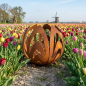 Preview: Windlicht Tulpe ca. 20 cm - Gartendekoration